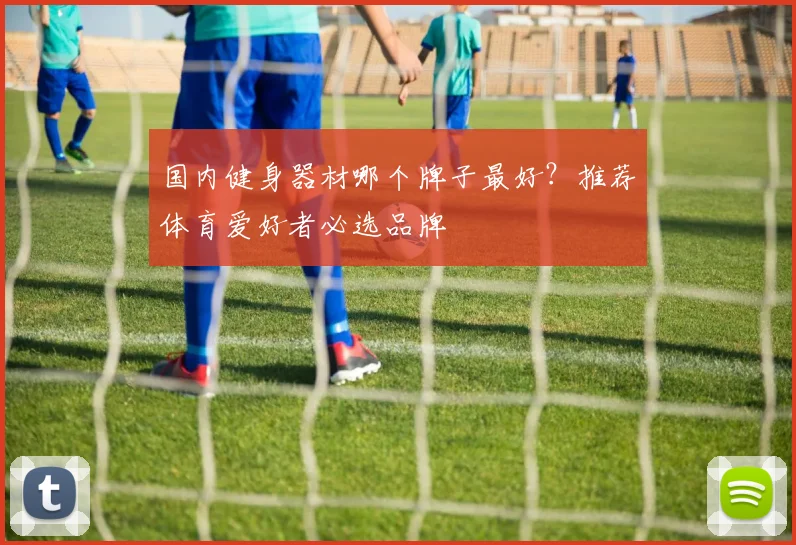 国内健身器材哪个牌子最好？推荐体育爱好者必选品牌