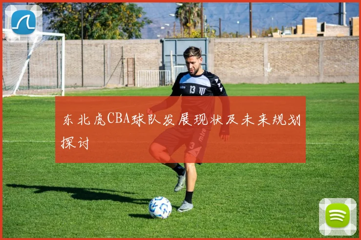 东北虎CBA球队发展现状及未来规划探讨