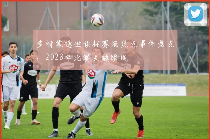多特蒙德世俱杯赛场焦点事件盘点，2023年比赛关键瞬间